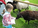 Kids_Hoofarm_2012 (22) 